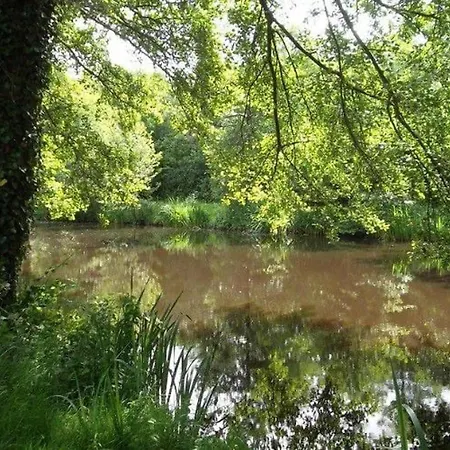 Mobil-home Cosy Avec Terrasse A - Api-1-52-490 Кемпинг *