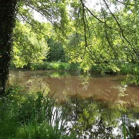 Кемпинг Mobil-home Cosy Avec Terrasse A - Api-1-52-490