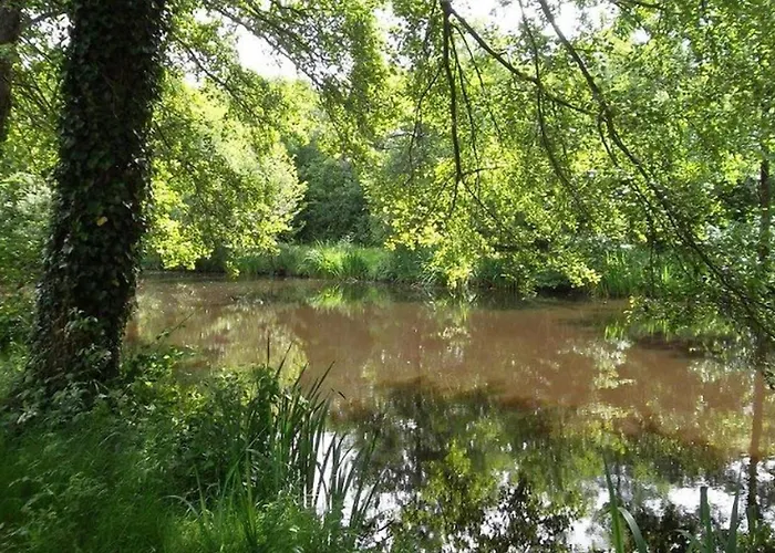 Κάμπινγκ Mobil-home Cosy Avec Terrasse A - Api-1-52-490